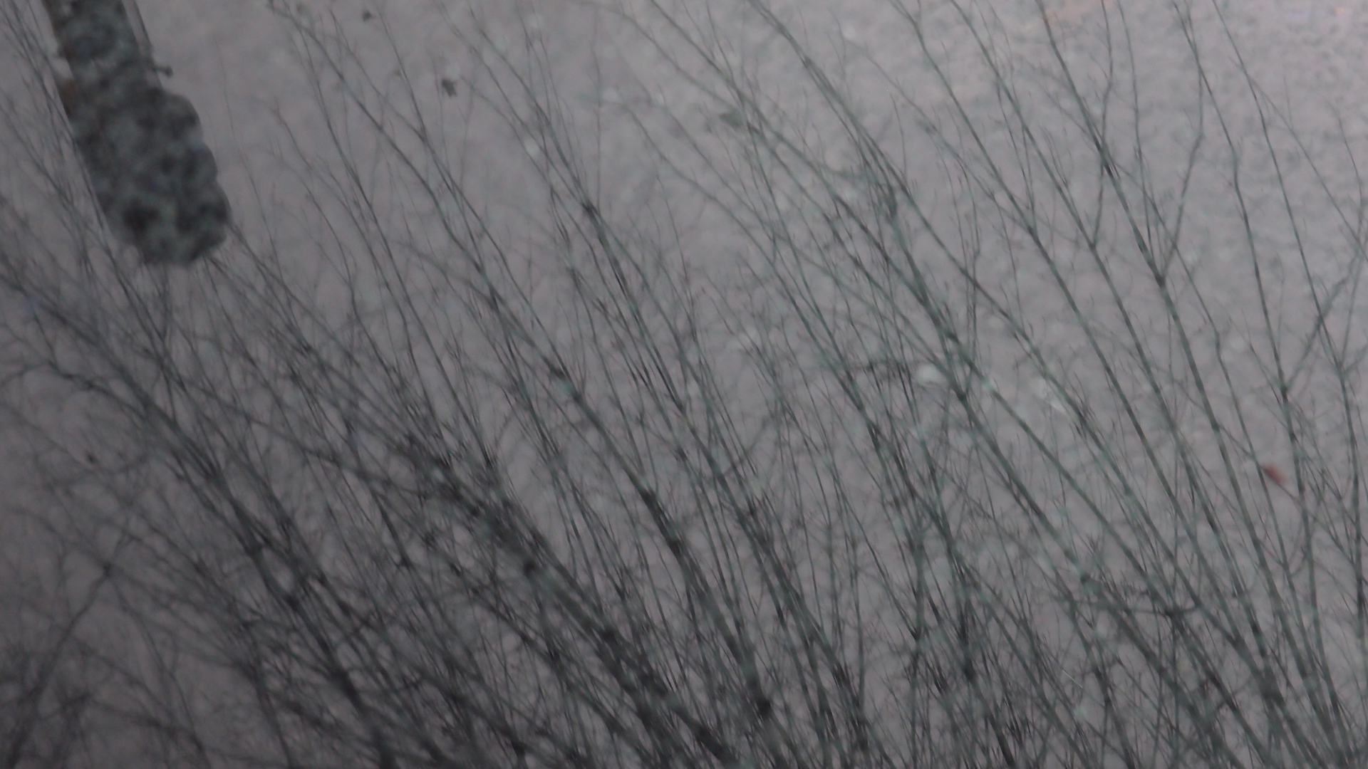 2021-01-06 - 08 Kühlgeträt (On/Off) (Remix John Cage - Empty Words IV)